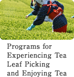 Programs for	Experiencing Tea Leaf Picking and Enjoying Tea