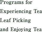 Programs for Experiencing Tea Leaf Picking and Enjoying Tea