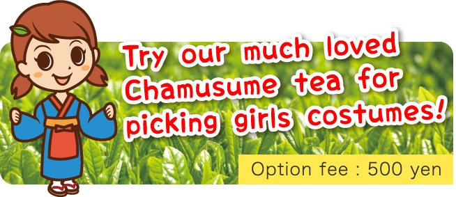 Try our much loved Chamusume tea for picking girls costumes!